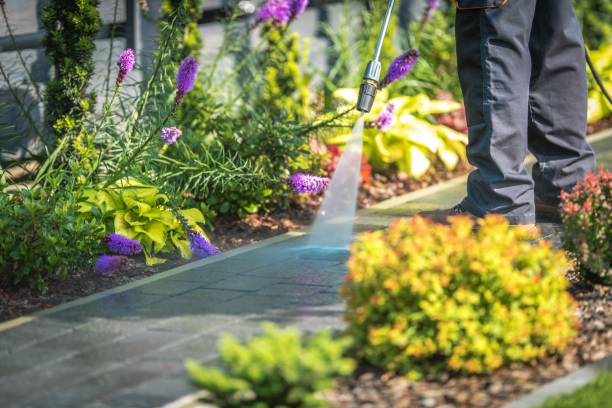 Gurnee, IL Pressure Washing Services Company