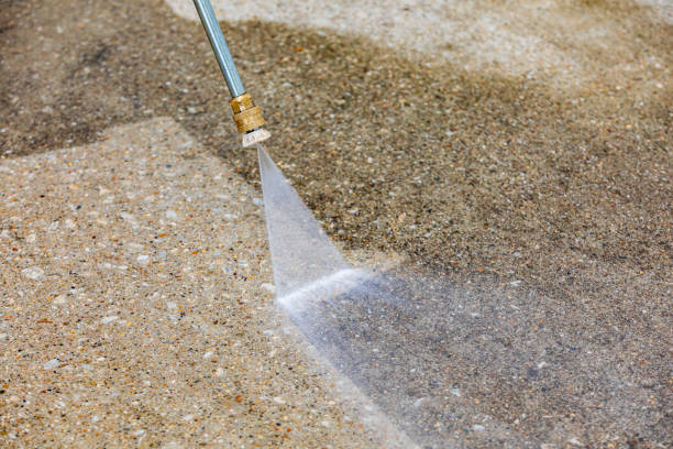 Best Sidewalk and Walkway Cleaning  in Gurnee, IL